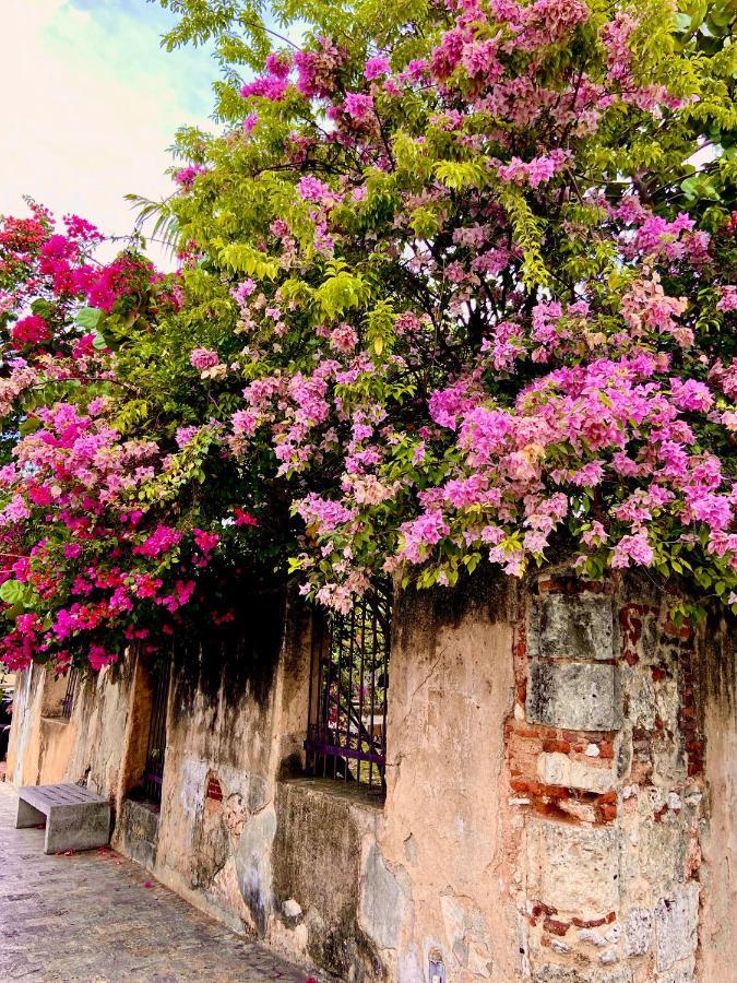 Boutique Hotel Casa Grande Σάντο Ντομίγκο Εξωτερικό φωτογραφία